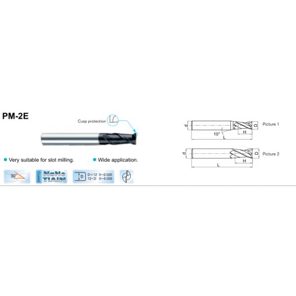 Straight Shank Carbide Flat End Mill , 2 Flute Carbide End Mill PM -2E