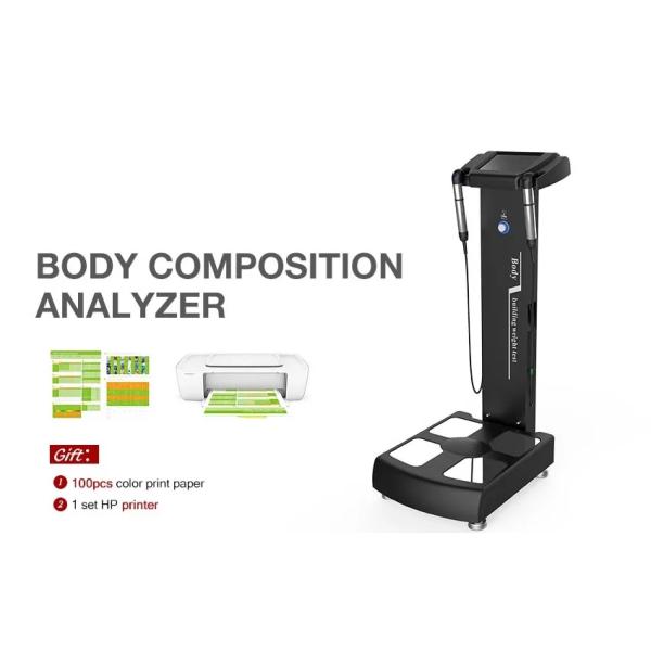 Professional Body Composition Analysis Machine Percentage Of Body Fat Analyzer with Printer