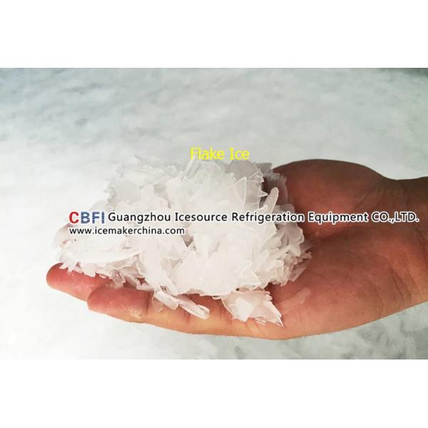 Customized 10 Tons Flake Ice Machine CBFI Compressor R507 Refrigerant