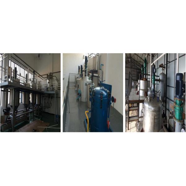 Field Maintenance and Repair Service Small Rapeseed Waste Oil Refining Plant with Babassu Palm Kernel Oil Fractionation