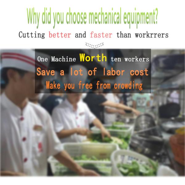 8000cc Vegetable Processing Equipment ,  Apple Ginger Mango Pineapple Juice Extractor Machine