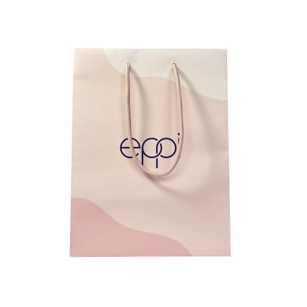 Custom Size Cotton Handle Printed Small Paper Gift Bags For Jewelry Box