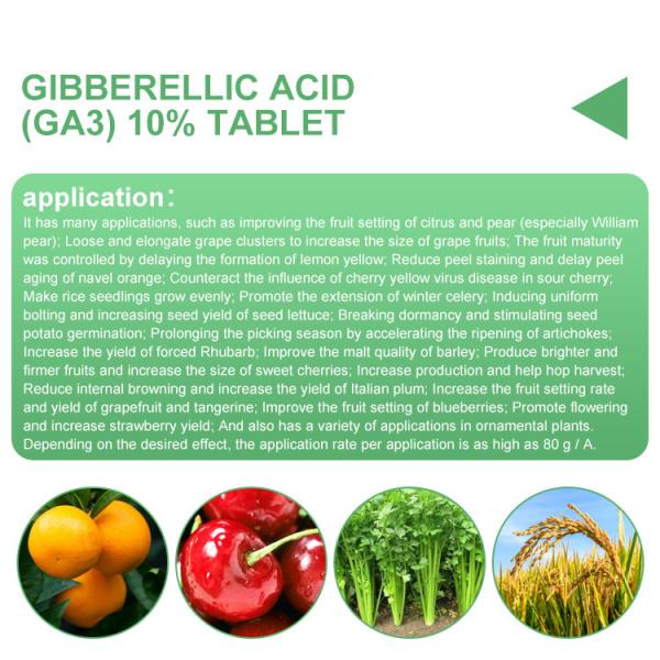Plant Growth Stimulants of Gibberellic acid 10%Tablet CAS 8018-01-7