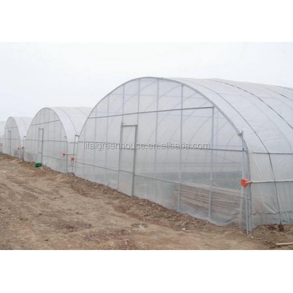 Film Covered Galvanized Greenhouse for Stable Structure and Vegetable Cultivation