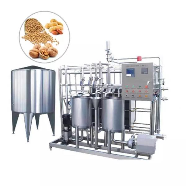 Complete Pineapple And Mango Juice Processing Line Automatic