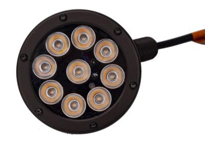 Outdoor Garden Spotlights 12w Powder Coated Bronze 3 Yesrs Warranty