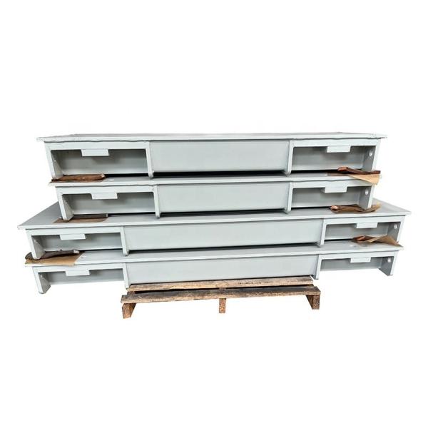 Stainless Steel Platform Electronic Scale with 3000kg Capacity and Wireless Technology