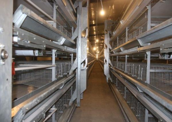 192 Birds 3 Tiers Galvanized H Type Layer Chicken Cage