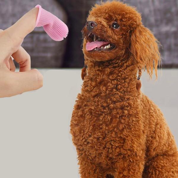 Biodegradable Pet Fiber Deodorizing Silicone Brushing Finger Toothbrush Deep Cleaning