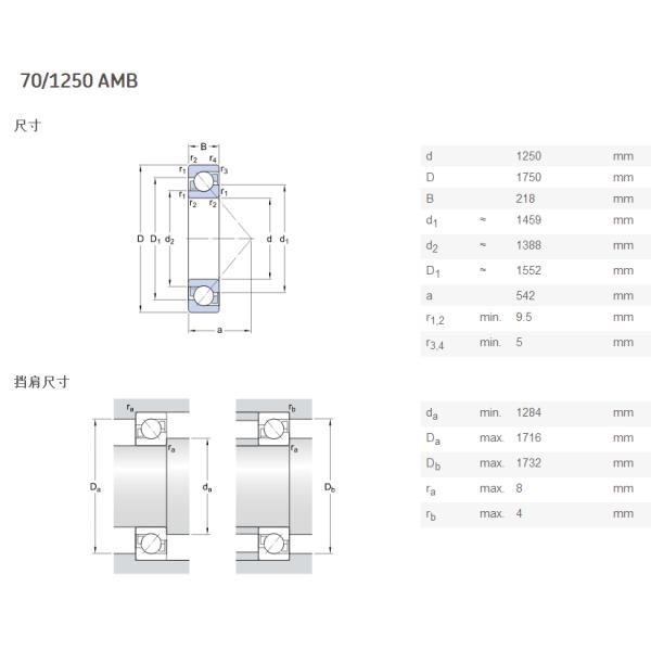 Open Angular Contact Ball Bearing / GCr15 Double Sealed Bearings 70 1250 AMB