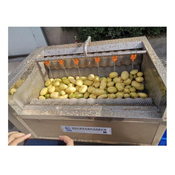 Farm Drying Machine Root Potato Skin Peeling Carrot Yam Ginger Stripper Sweet Sale Price Cassava Peeler
