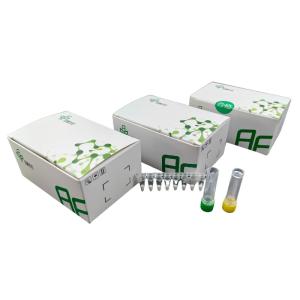 Kit de PCR de Amplificação Isotérmica de ARN Básico 5-20 minutos