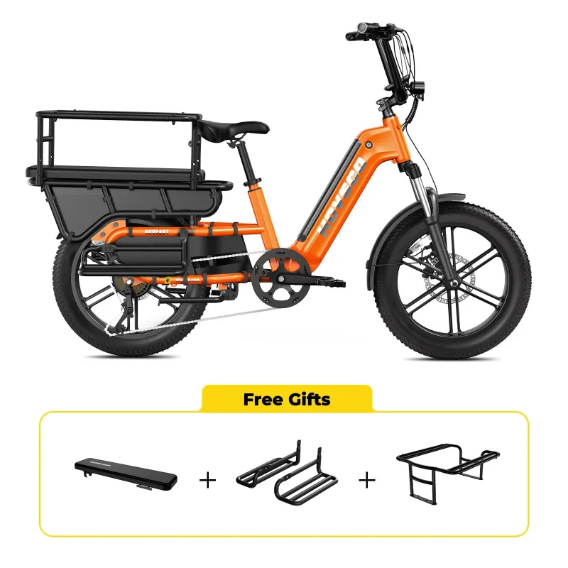 EU Aluminum Frame Hybrid Electric Cargo Bike with Torque Sensor 750W Long Tail Cargo for 2 Kids 48v Lithium Urban Commute E-bike