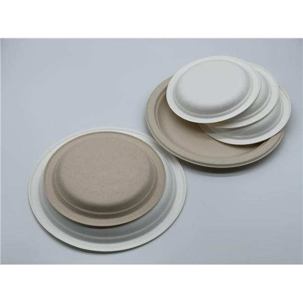 Food Grade Biodegradable Sugarcane Bagasse Plates Round Eco-friendly Food Container
