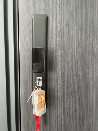 Heat Transfer Surface Modern Steel Door Invisible Hinge Metal Frame