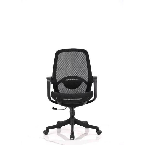 Staff Office Adjustable Mesh Ergonomic Computer Chair with Lumbar Support