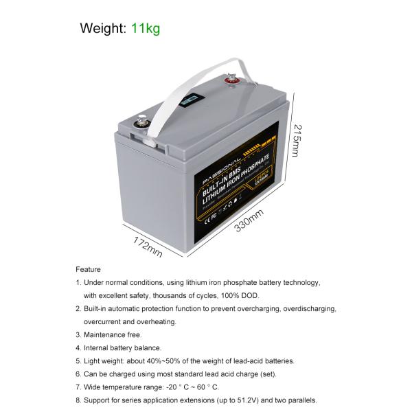 Lead Acid 12.8 V 100ah Lifepo4 Battery , BMS Lithium Ion Phosphate Battery