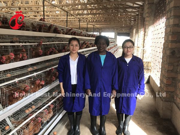 Наиболее популярный тип куриный слой батарейная клетка для продажи в Уганде 20000 птиц Звезда