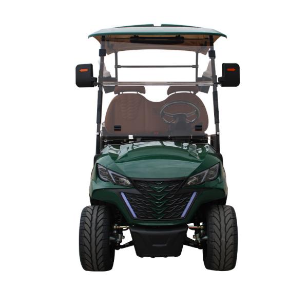 Front Disc Rear Drum Brake System Electric Golf Cart for Wedding Resort Hotel HM Mini