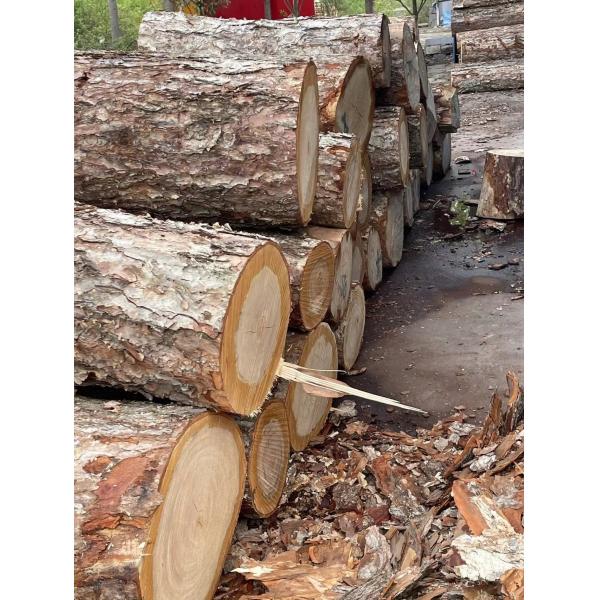 Die Making Plywood Board 12-18mm Flat Film Faced for Laser Die Cutting Industrial