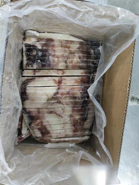 顧客の要件に合わせた冷凍庫コールドルーム イカストリップ Dosidicus Gigas