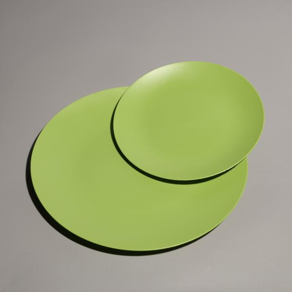 Customized Logo Plastic Food Tray Multi Purpose Disposable Party Trays SGS FDA