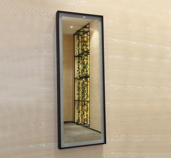 Décoration de salle de bain d'hôtel Full Length LED Makeup Mirror avec cadre noir autour de la lumière
