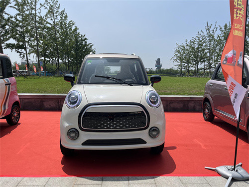 Линг Донг 60 В 3000 Вт Четырехколесный электромобиль Удобный электрический пассажирский караван