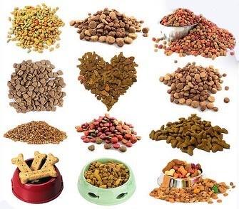 Extrudeuse à double vis Pet Kibble Machine à manger pour chien SLG70 200-250kgh