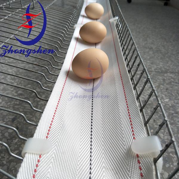 Zhongshen PP2 Professional Nylon Egg Collection Belt - Maximum Durability