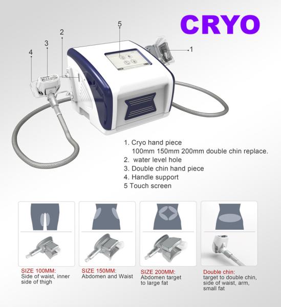Cryolipolysis Machine Fat Freeze Slimming Cryo Fat Removal With 4 Handles
