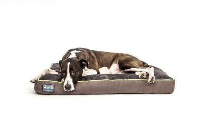 Warter Resistant Shredded Memory Foam Dog Bed Thick Orthopedic 4 Color Trims 4 Sizes