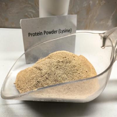 Protein 18% Organic Animal Feed Additive Customized Formulation