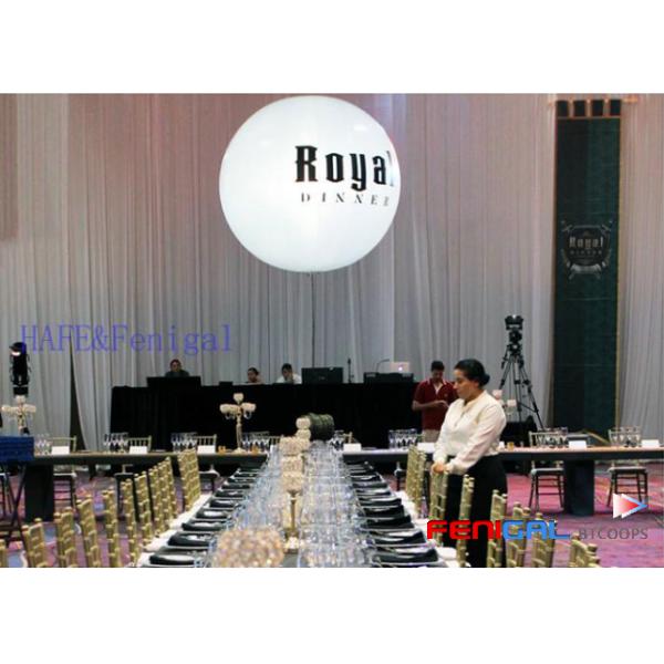 Customizable 220V LED Inflatable Event Lighting Balloon For Exhibition Decoration Hangable Design