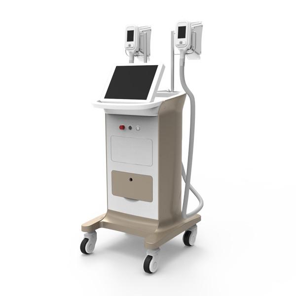 best fat reducing laser treatments vacuum therapy cellulite cryolipolysis slimming machine for sale