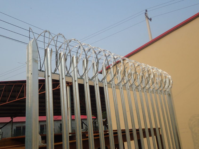 Site Organizing Steel Palisade Fence For Sightline Management Boundary Definition