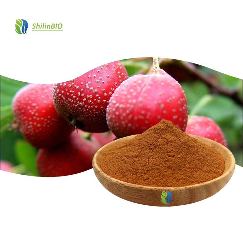 High Quality 10:1 20:1 30:1 Crataegus Pinnatifida Extract Food Grade Hawthorn Berry Extract