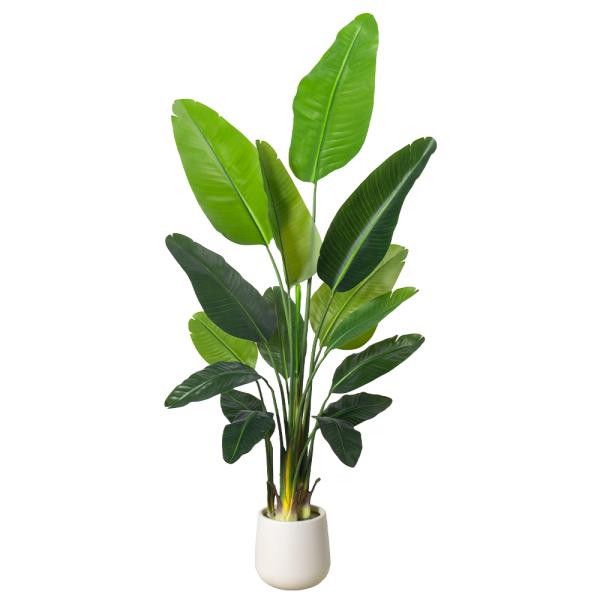 Artificial Bird of Paradise Plant 6.8FT - Luxury Faux Palm Tree in White Planter for Indoor Office Decor