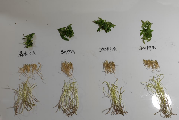 Poudre de N-acétyl-D-glucosamine brune Agriculture Dosage engrais organique