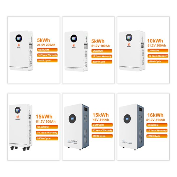 Wall Mounted 5kwh Home Home Energy Storage Battery Pack All in One 51.2V 100Ah 5.12kWh for Home Backup Power Solutions