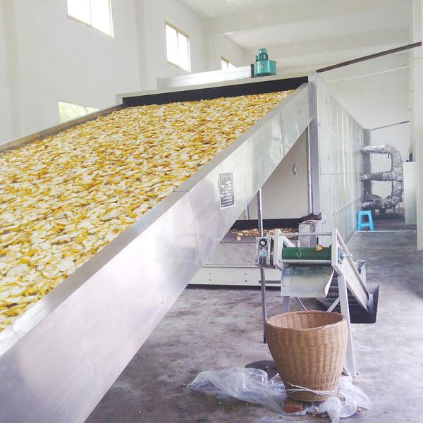HengShou SGS Continuous Belt Dryer Cinnamon Orange Peel Drying Machine Wearproof
