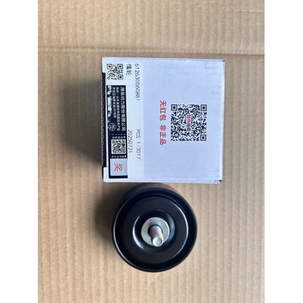 Shacman HOWO Truck Weichai WP12 Engine Drive Belt Idler Pulley 612630060881
