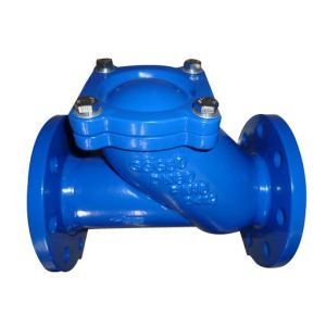 check valve
