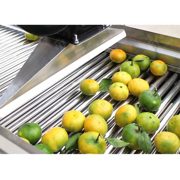 Detoxification технологической линии фрукта и овоща стерилизации озона изготовления на заказ сухой