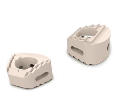 White PEEK Lumber Cervical Spine Fusion Devices Type I 16*13mm