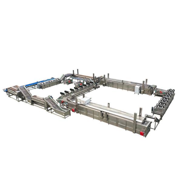 Fully Automatic Potato Chips Processing Machine with 500kg Capacity and Production