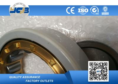 High Precision Electrically Insulated Bearings NJ219-E-TVP2-J20AA Inudstry Fag Ball Bearing