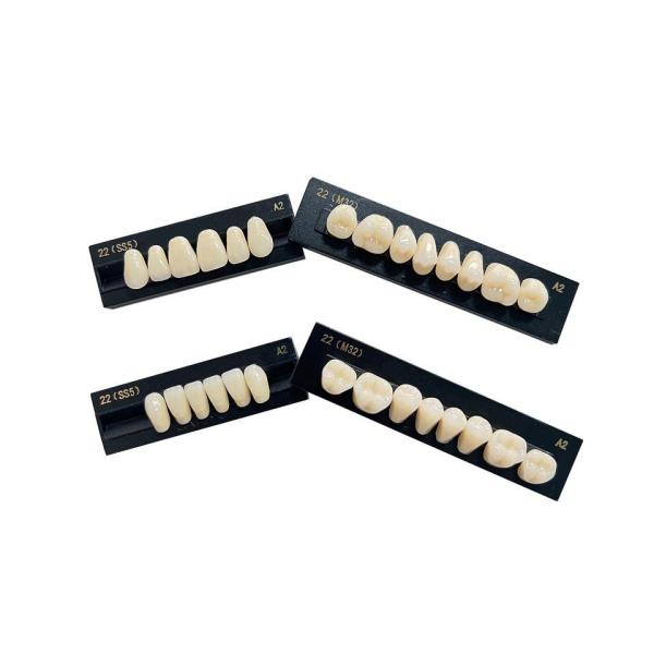 High Flexibility Composite Dental Acrylic Resin Teeth Standard Size