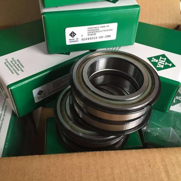 double rows sheave bearing SL04-5010PP bearing, sleeve bearing