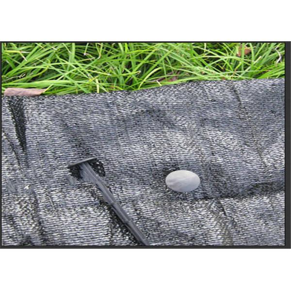 Agricultural Plastic Black Membrane For Gardens Protect Plants In The Ground Surface Available